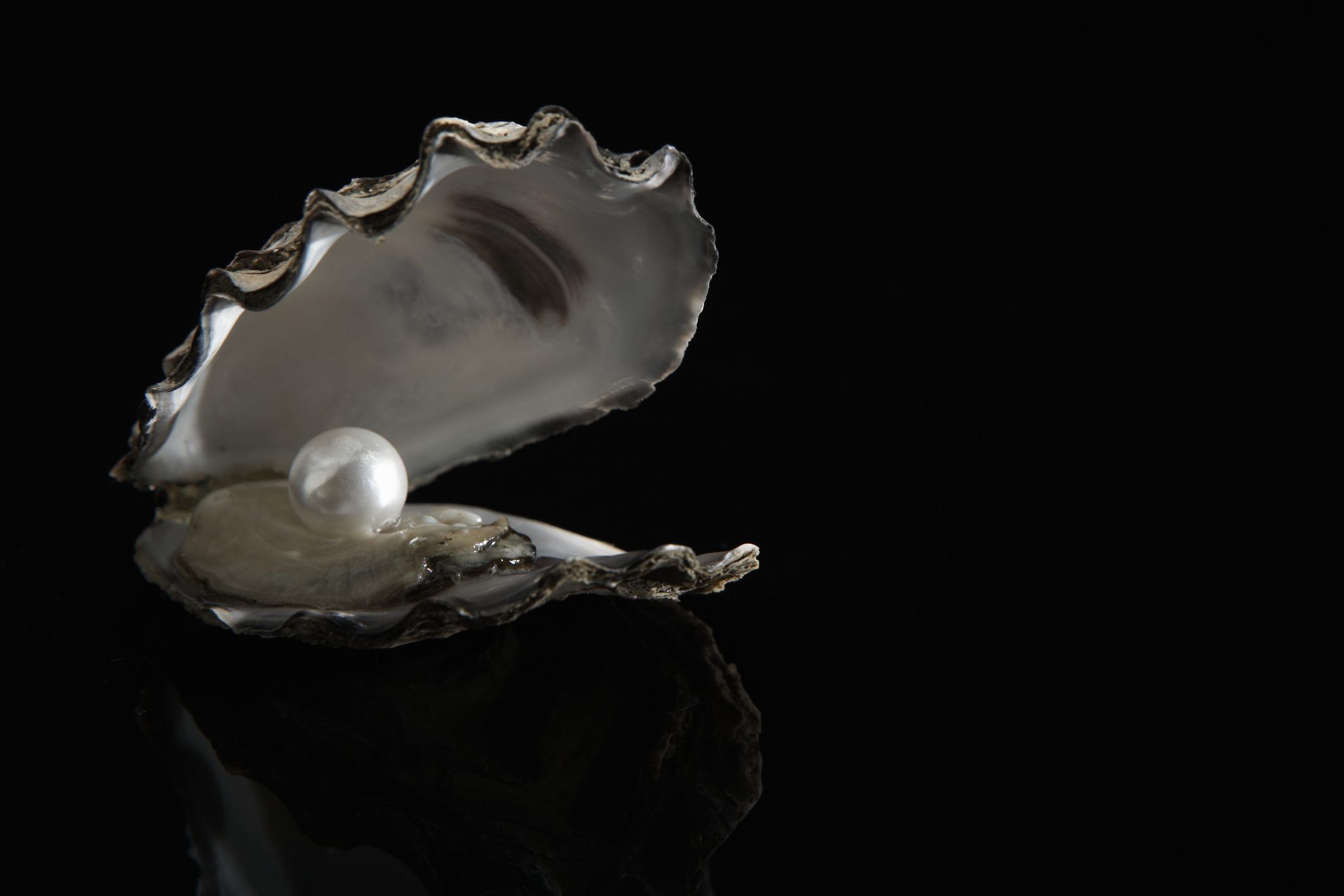 Por qué son tan valiosas las perlas
