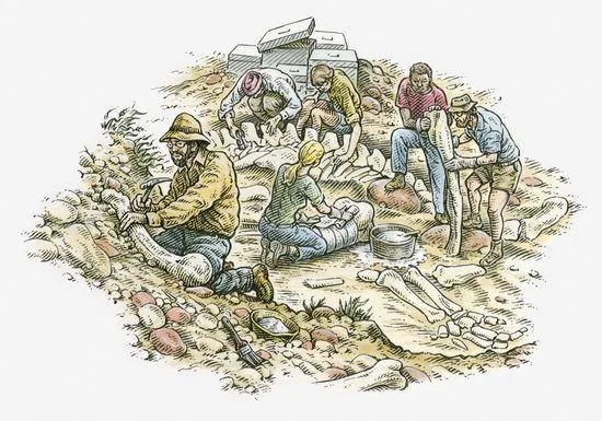 Restauración y conservación de bienes: arqueología