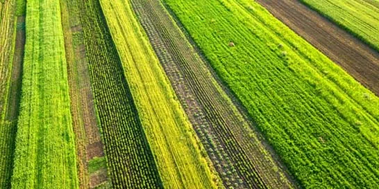 Inmatricular una finca: precio, procedimiento y requisitos