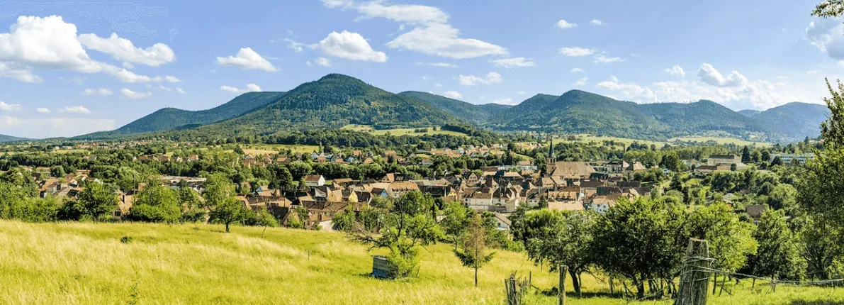 Valora tu finca ahora con un 25% de descuento