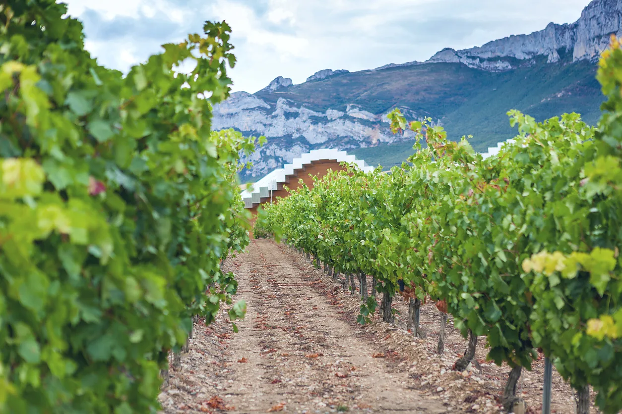 évaluations-secteur-agroalimentaire